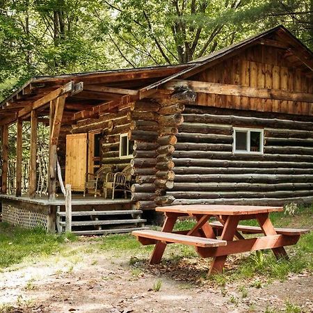 Rustic Ridge Villa Penn Yan Dış mekan fotoğraf