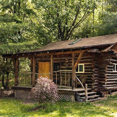 Rustic Ridge Villa Penn Yan Dış mekan fotoğraf