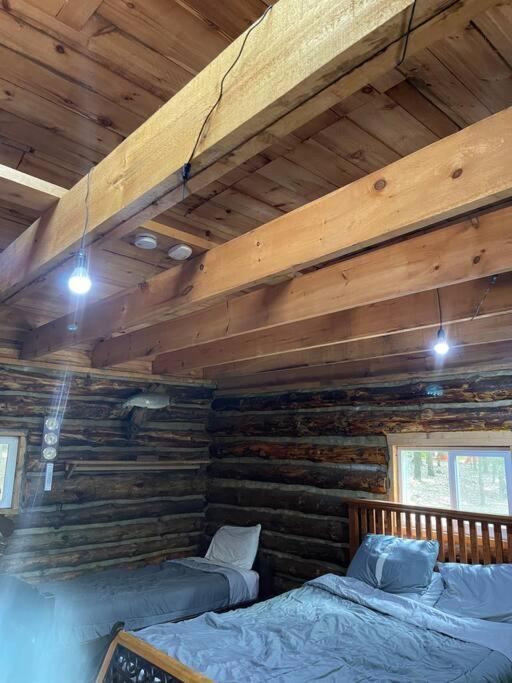 Rustic Ridge Villa Penn Yan Dış mekan fotoğraf