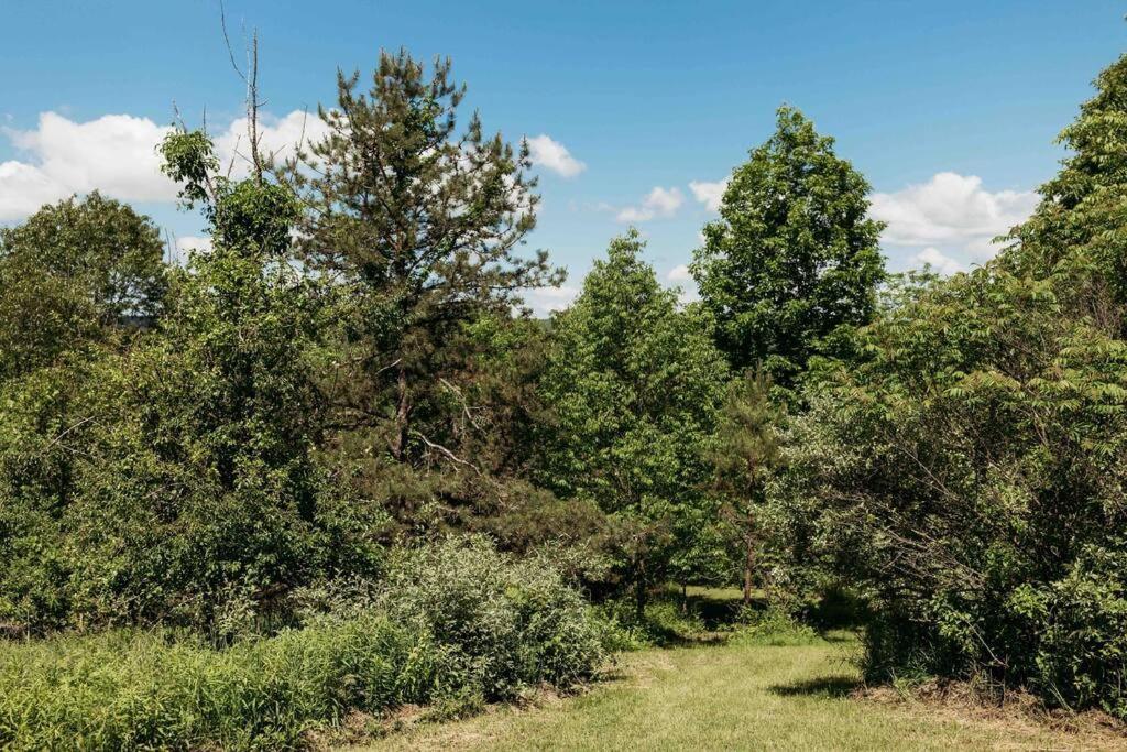 Rustic Ridge Villa Penn Yan Dış mekan fotoğraf